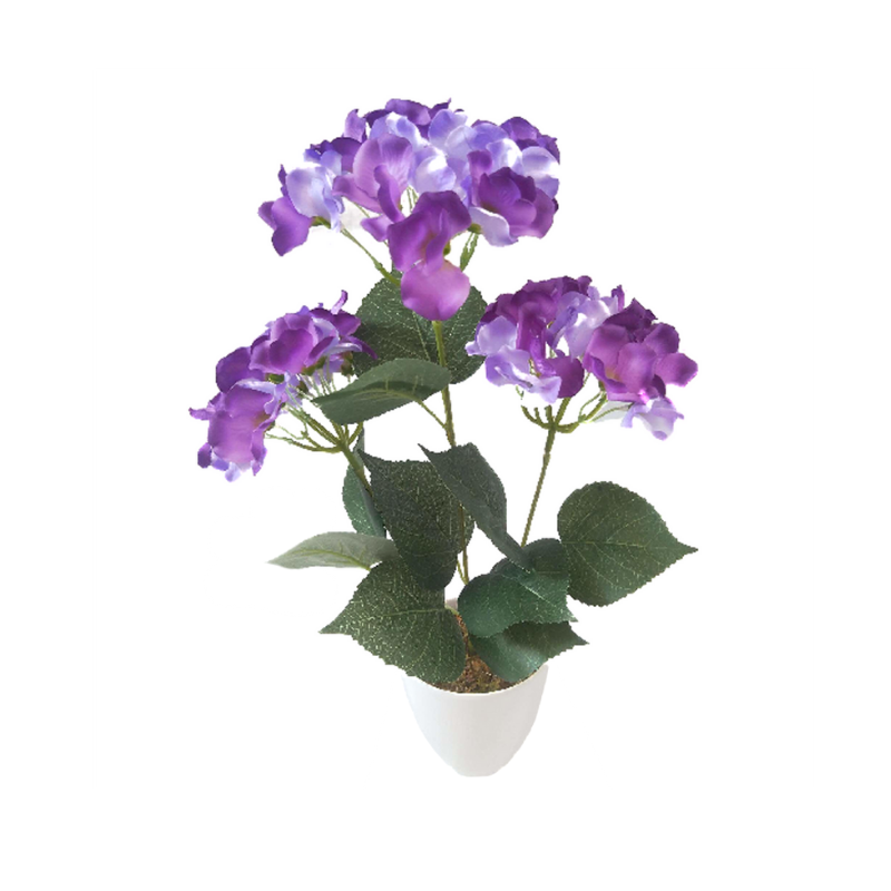 HORTENSIA EN MACETA 45C... - Decosur Mayorista