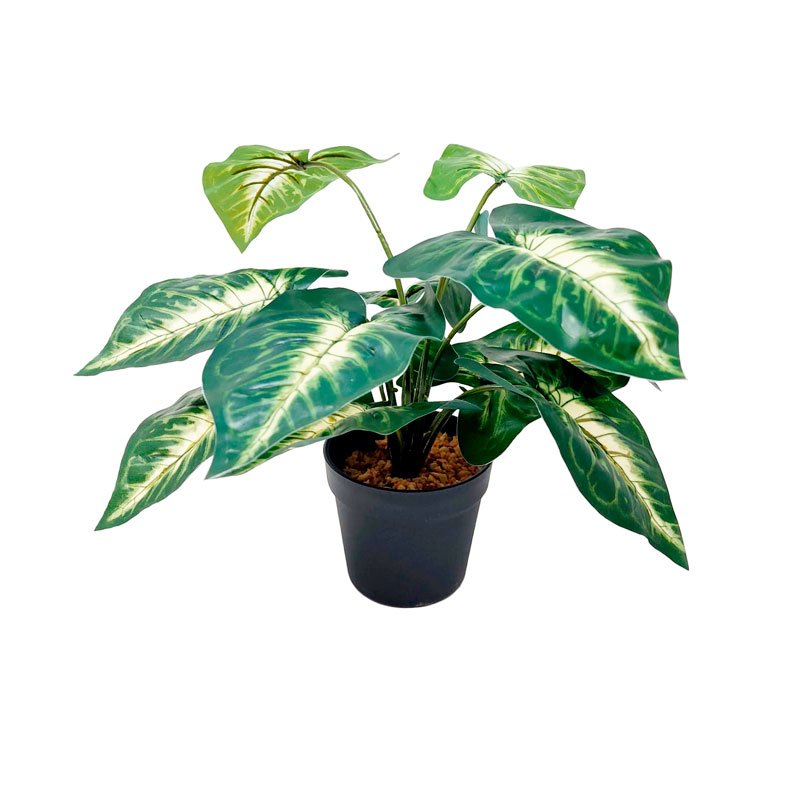 PLANTA 45CM