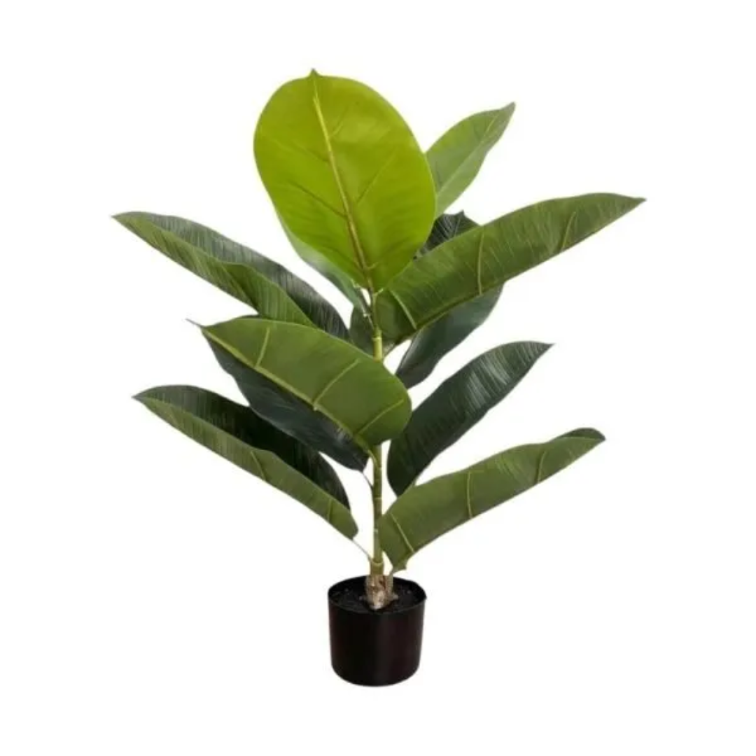 PLANTA 75CM