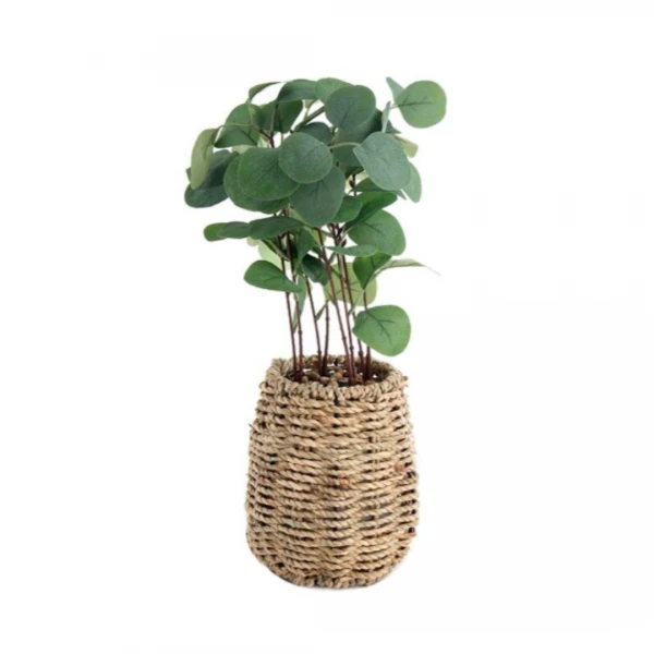 PLANTIN CON MACETA 41CM