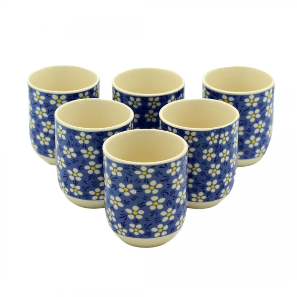 SET X6 POCILLOS CHINOS ...