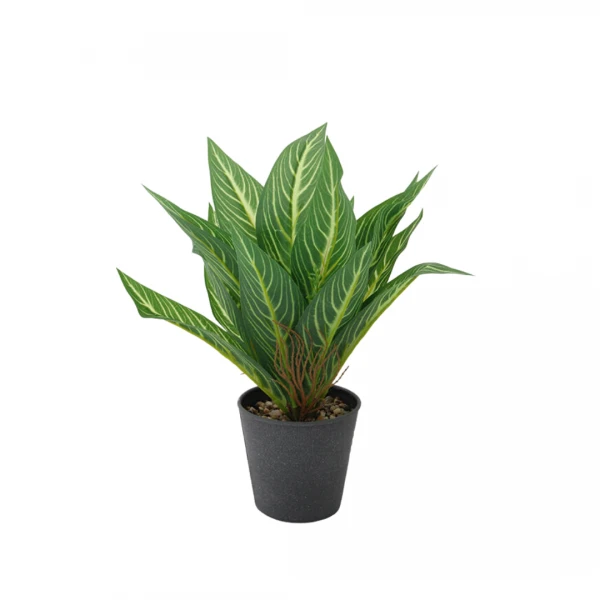 PLANTA EN MACETA
