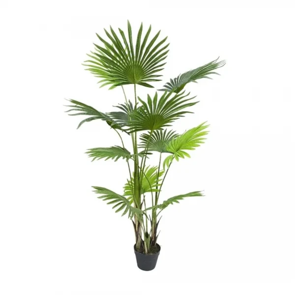 PALMERA 150CM