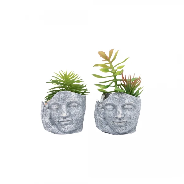 PLANTA EN MACETA 17CM