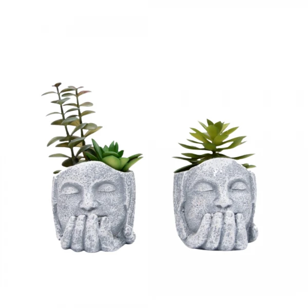 PLANTA EN MACETA 18CM
