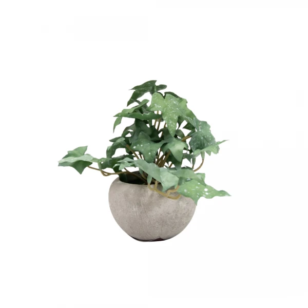 PLANTA CON MACETA 6CM