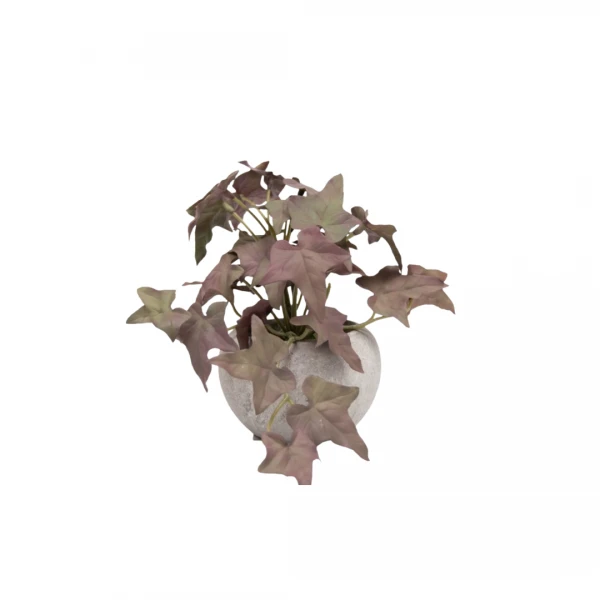 PLANTA CON MACETA 6CM