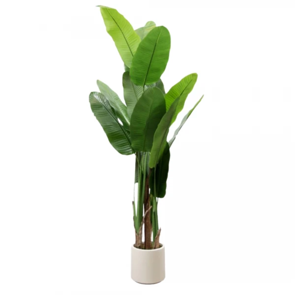 PLANTA CON MACETA 170CM