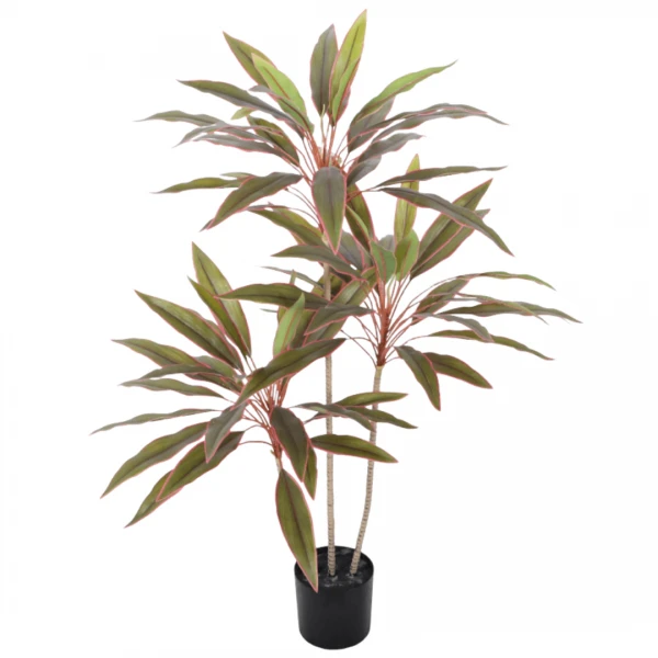 PLANTA TI ROJA CON MACE...
