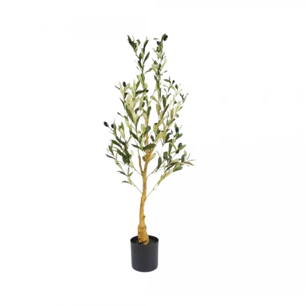 OLIVO 90CM