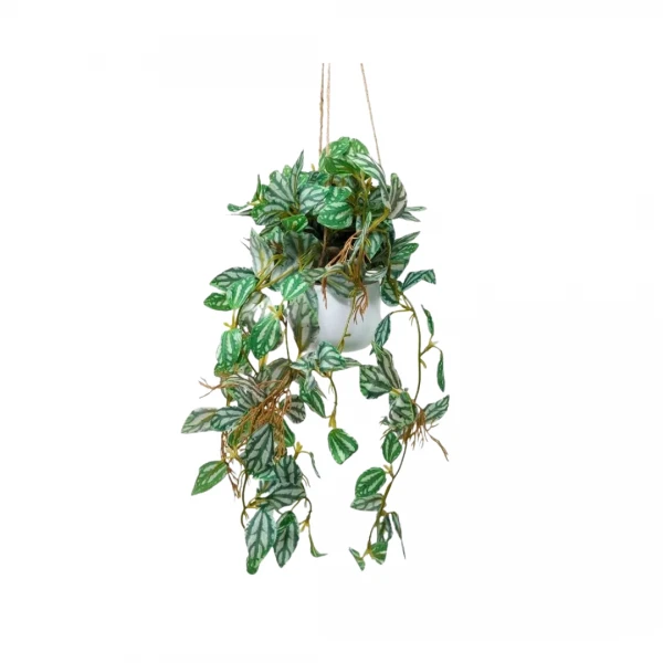 PLANTA COLGANTE 45CM