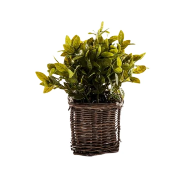 PLANTA CON MACETA SIMIL...