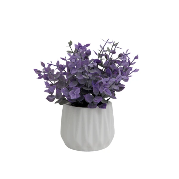 PLANTIN EN MACETA 18CM