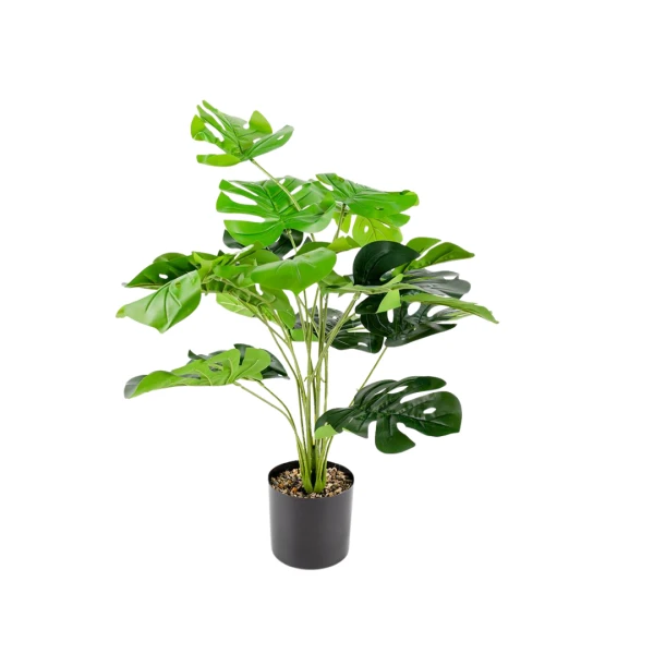 PLANTA CON MACETA
