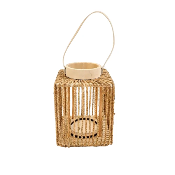 FAROL NATURAL CON PORTA...