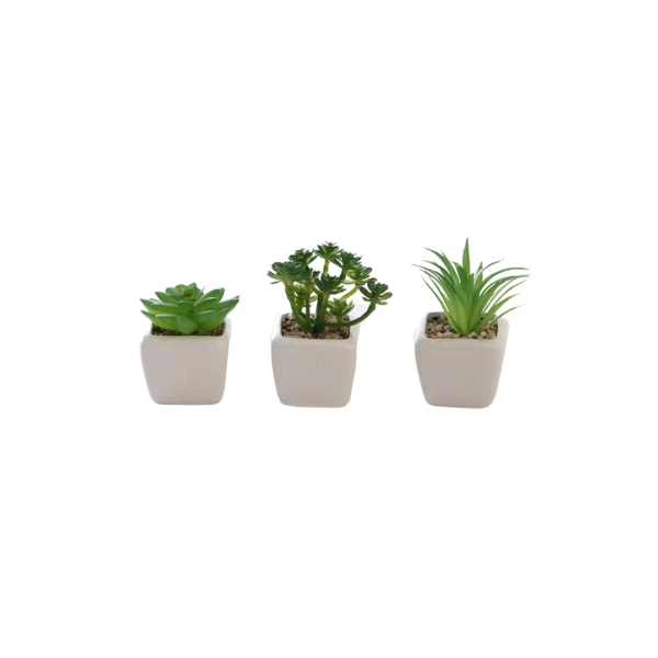 MINI PLANTIN CON MACETA